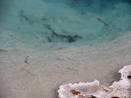 Sightseeing Tours, Travel Packages and Day Trips from Tours4Fun.com
